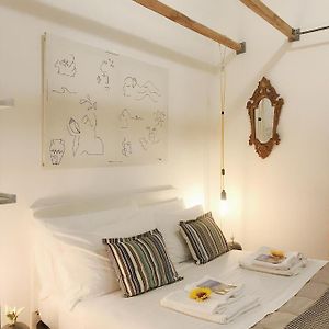 Design & History Suite
